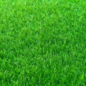 20mm Artificial Grass