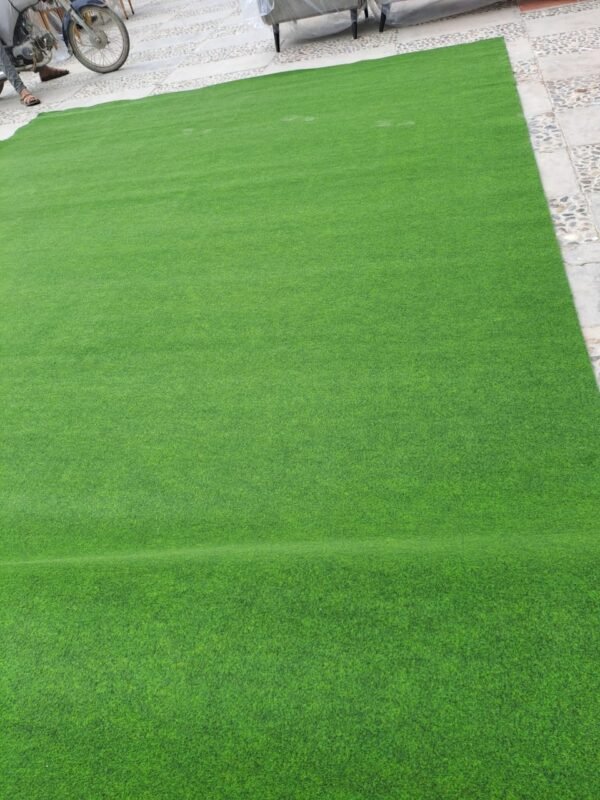 Plain Carpet Synthetic