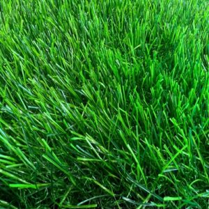 50mm Artificial Grass